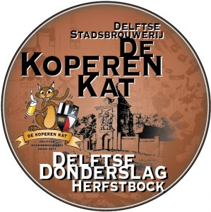 Logo Delftse Donderslag